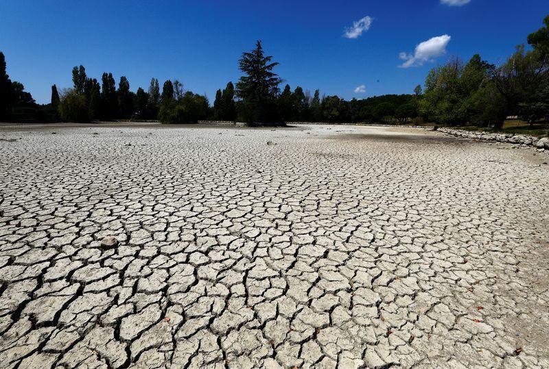 Las sequías repentinas son especialmente probable en regiones como el Medio Oeste, el Noroeste de los EE. UU. y el Valle Central de California  (REUTERS/Eric Gaillard)