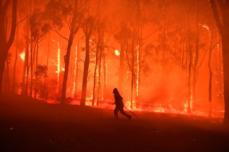 Un incendio en Colo Heights al sureste de Sydney (AAP Image/Dean Lewins/via REUTERS)