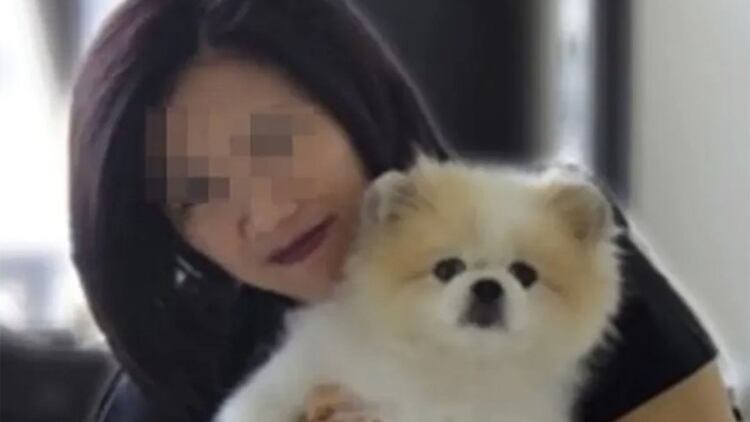 Murió en Hong Kong el perro que había dado positivo por coronavirus.