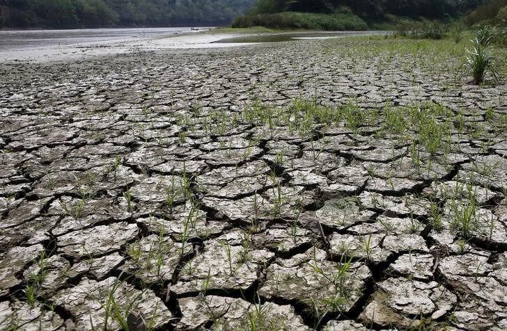La sequía sigue presentándose en varios puntos del país - crédito John Vizcaino / REUTERS