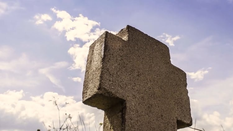 Better Place Forest se compromete a plantar hasta 400 árboles de impacto por cada ser querido que es enterrado en sus campus (@betterplaceforests)