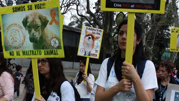Marcha por los derechos de los animales del domingo 23 de septiembre. (Daiana Loffreda)