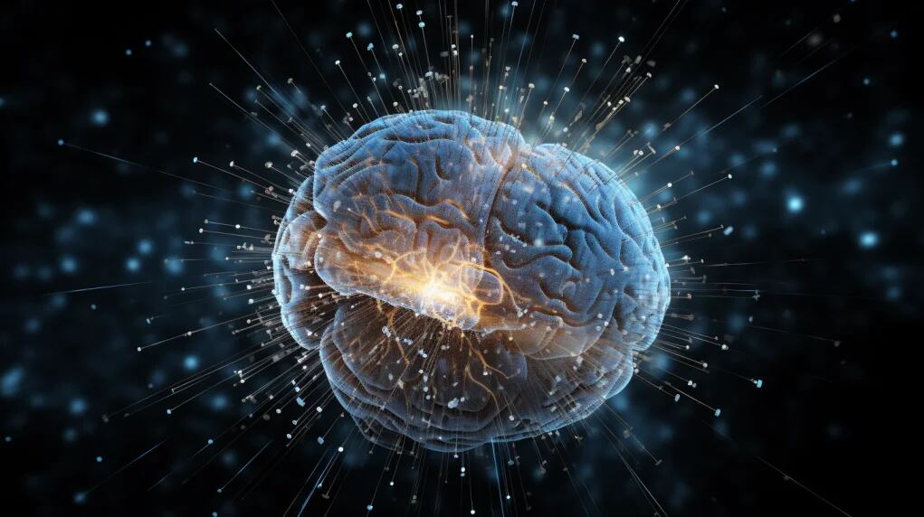 Cuál es el circuito cerebral oculto que explica por qué algunas lesiones cerebrales causan epilepsia