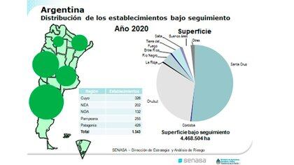 Radiografía de la producción orgánica en la Argentina (Senasa) 