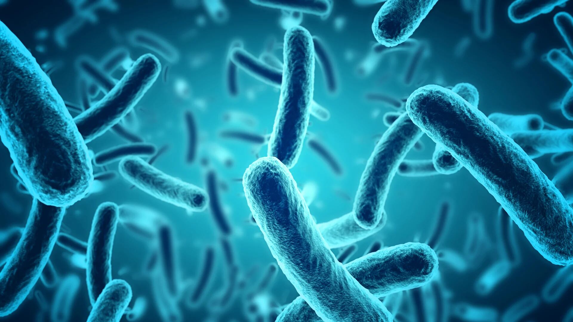 La nueva investigación demostró que la bacteria vibrio puede causar enfermedades transmitidas por alimentos potencialmente mortales (iStock)