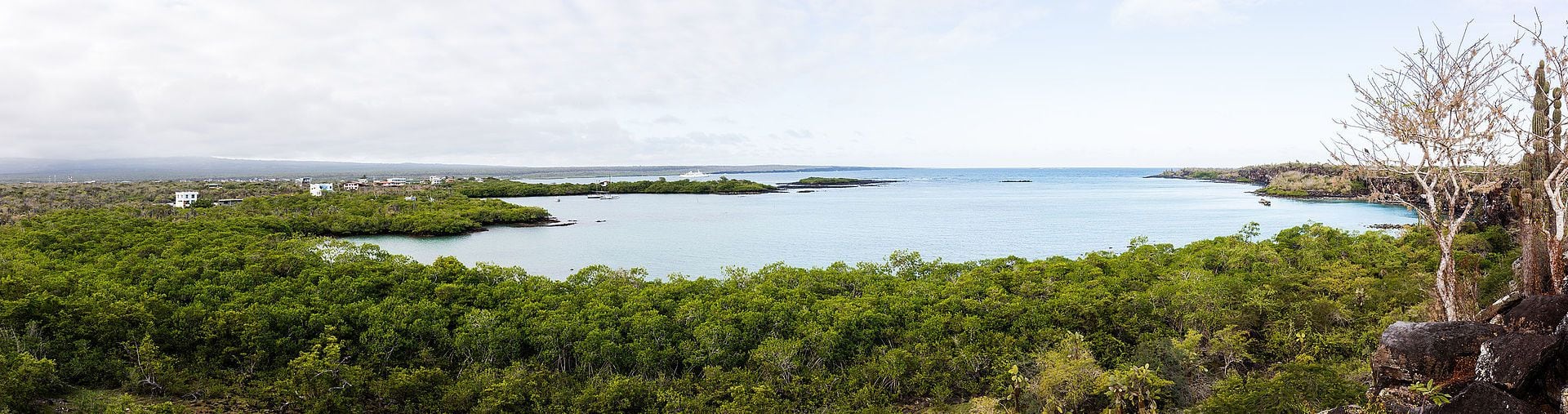 Isla Santa Cruz, Galápagos (Foto: Diego Delso)
