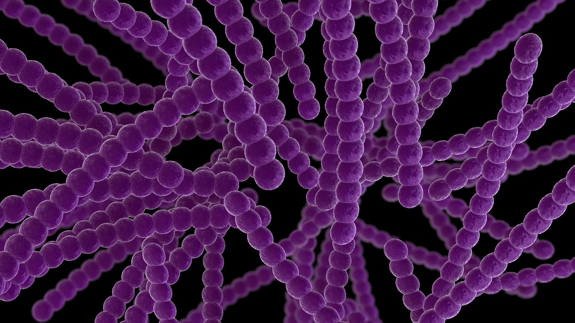 Estreptococo (Getty)