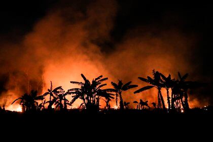 Incendios en Porto Velho, Brasil, provocados por ganaderos que quieren extender sus dominios por sobre la selva amazónica. EFE/Fernando Bizerra.