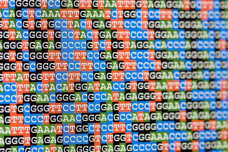 Al conocer la huella genética del virus, los científicos de otras compañías farmacéuticas desarrollaron otros tipos de vacunas (Foto: Getty Images)