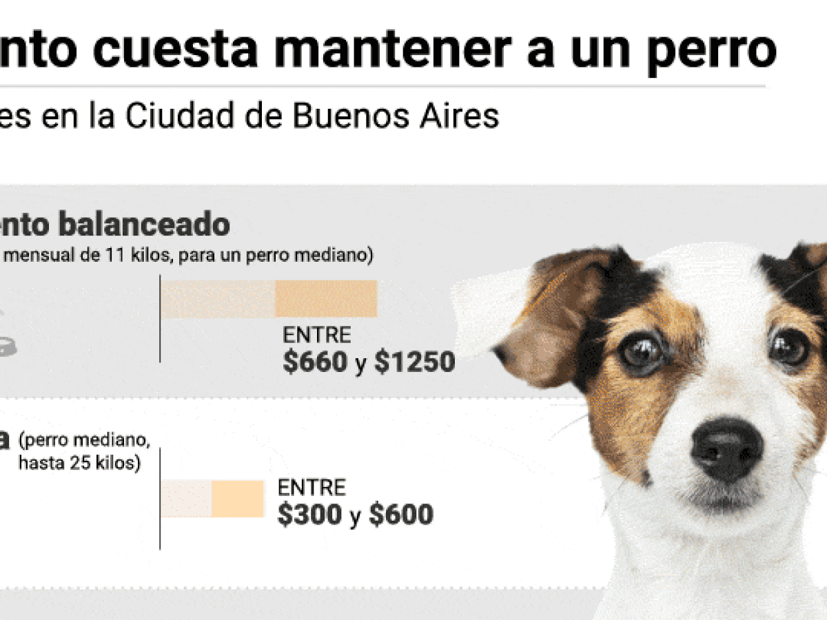 cuanto cuesta tener un perro en cuarentena