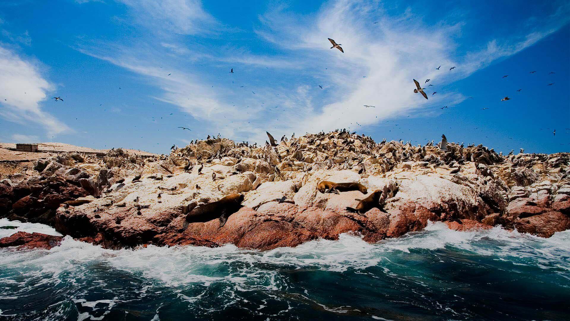 Islas Ballestas. (foto: Perú Travel)