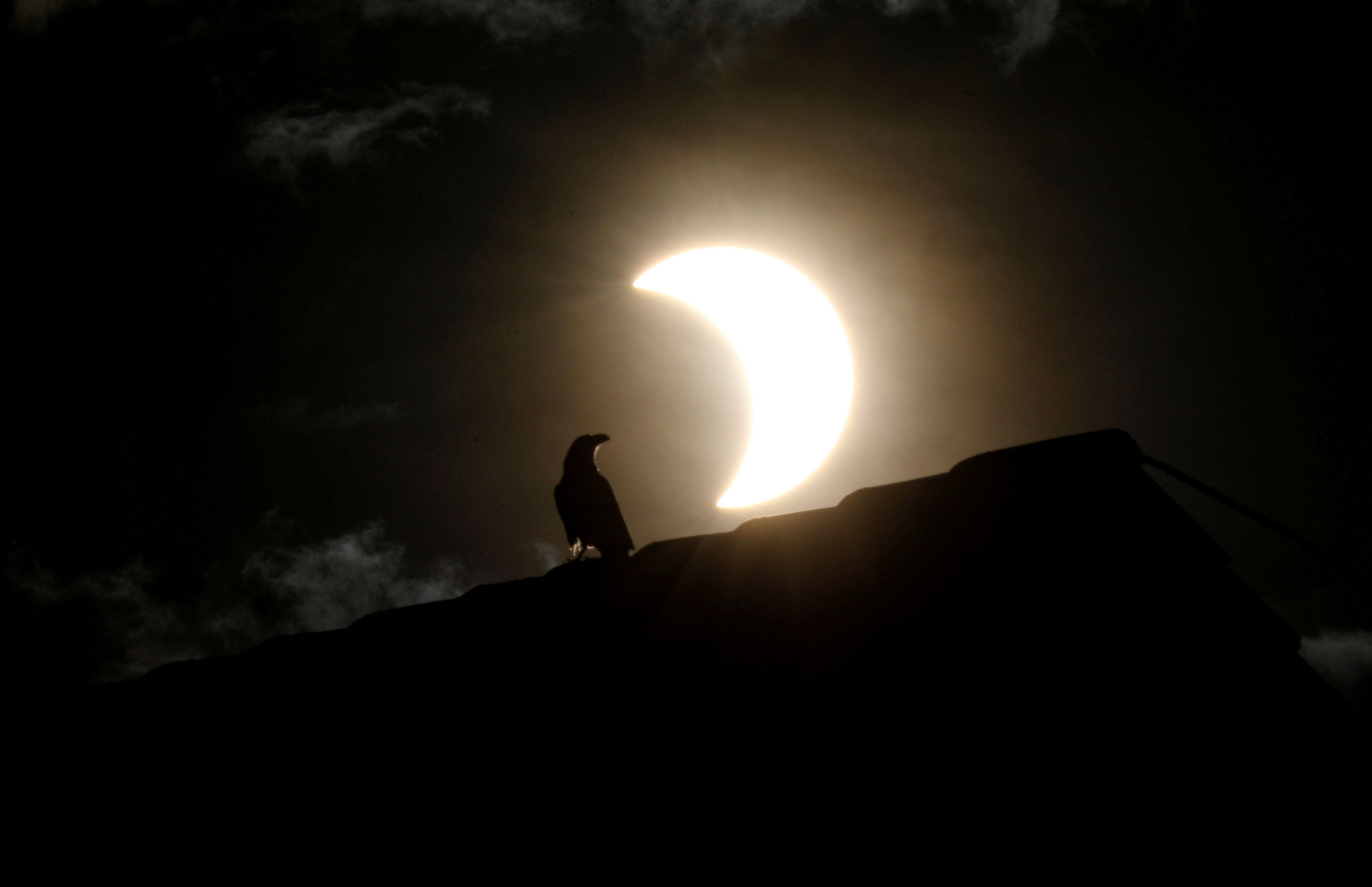 A crow stands on a roof as a partial solar eclipse is observed in Nairobi, Kenya, June 21, 2020. REUTERS/Baz Ratner     TPX IMAGES OF THE DAY