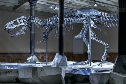 En Alemania se encuentra en exhibición "Tristan Otto" , el Tiranosaurio Rex más completo hasta ahora (Foto: Museo  für Naturkunde)