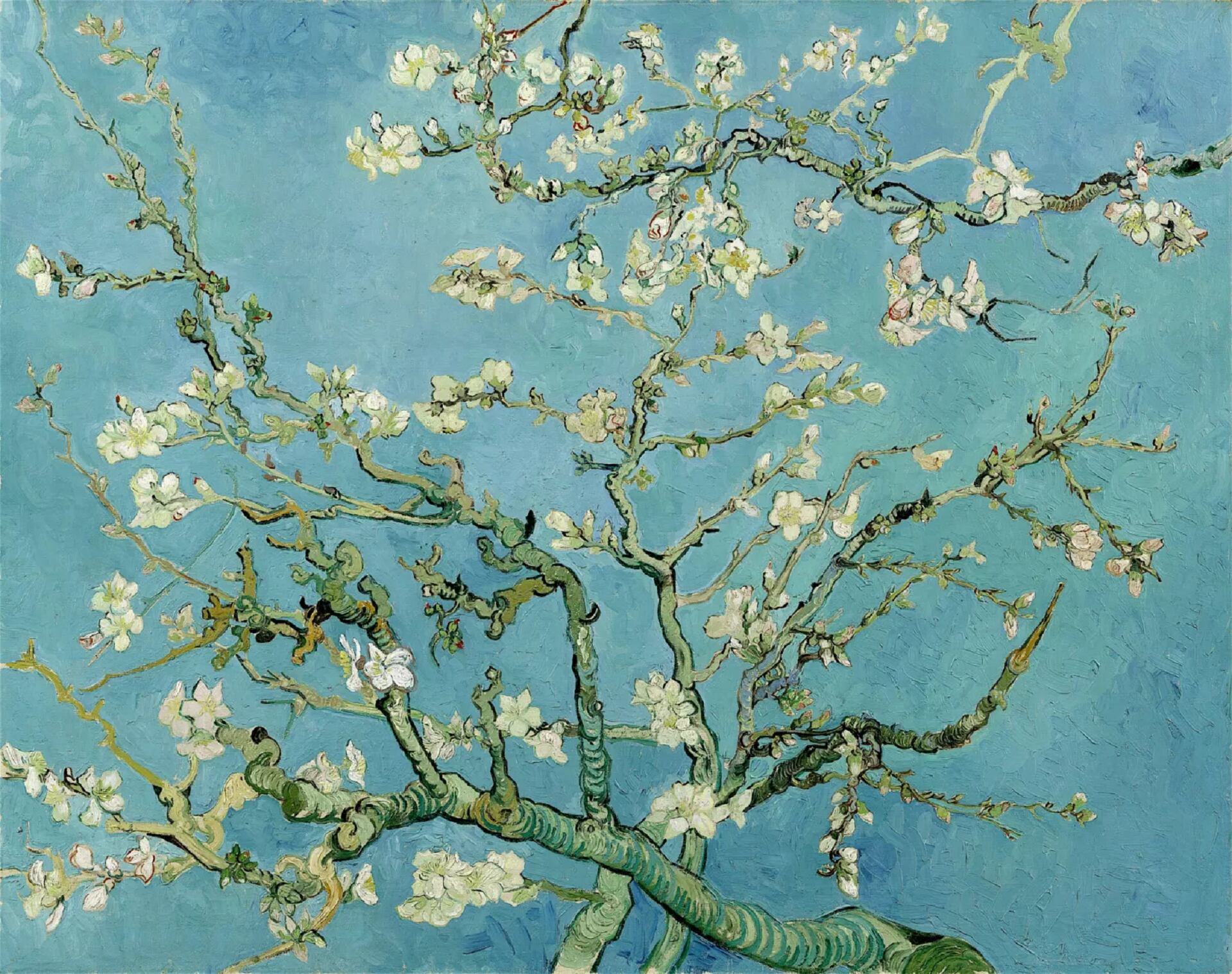 “Almendro en flor” (1890) de Vincent Van Gogh