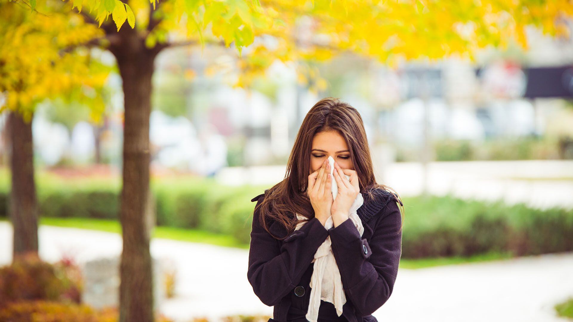 El cambio climático también contribuye a más casos de enfermedades alérgicas (Getty Images)