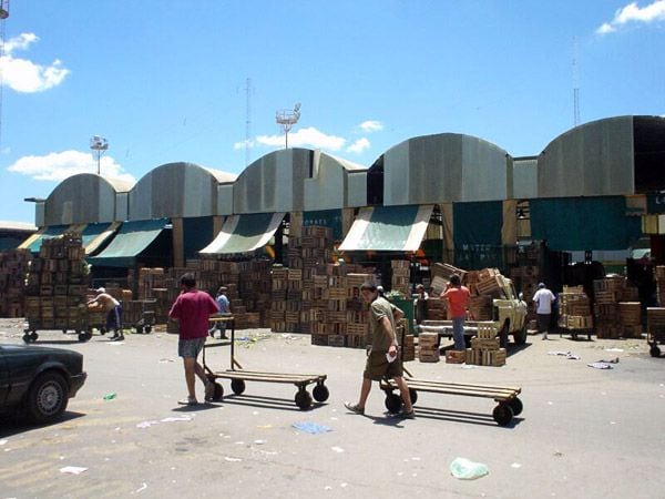 "Vamos a construir una especie de compromiso social de abastecimiento, donde haya productores, intermediarios y comercios de proximidad, donde todos empecemos a comprometernos a mantener una cadena de precios justa y razonable", dijo Nahuel Levaggi