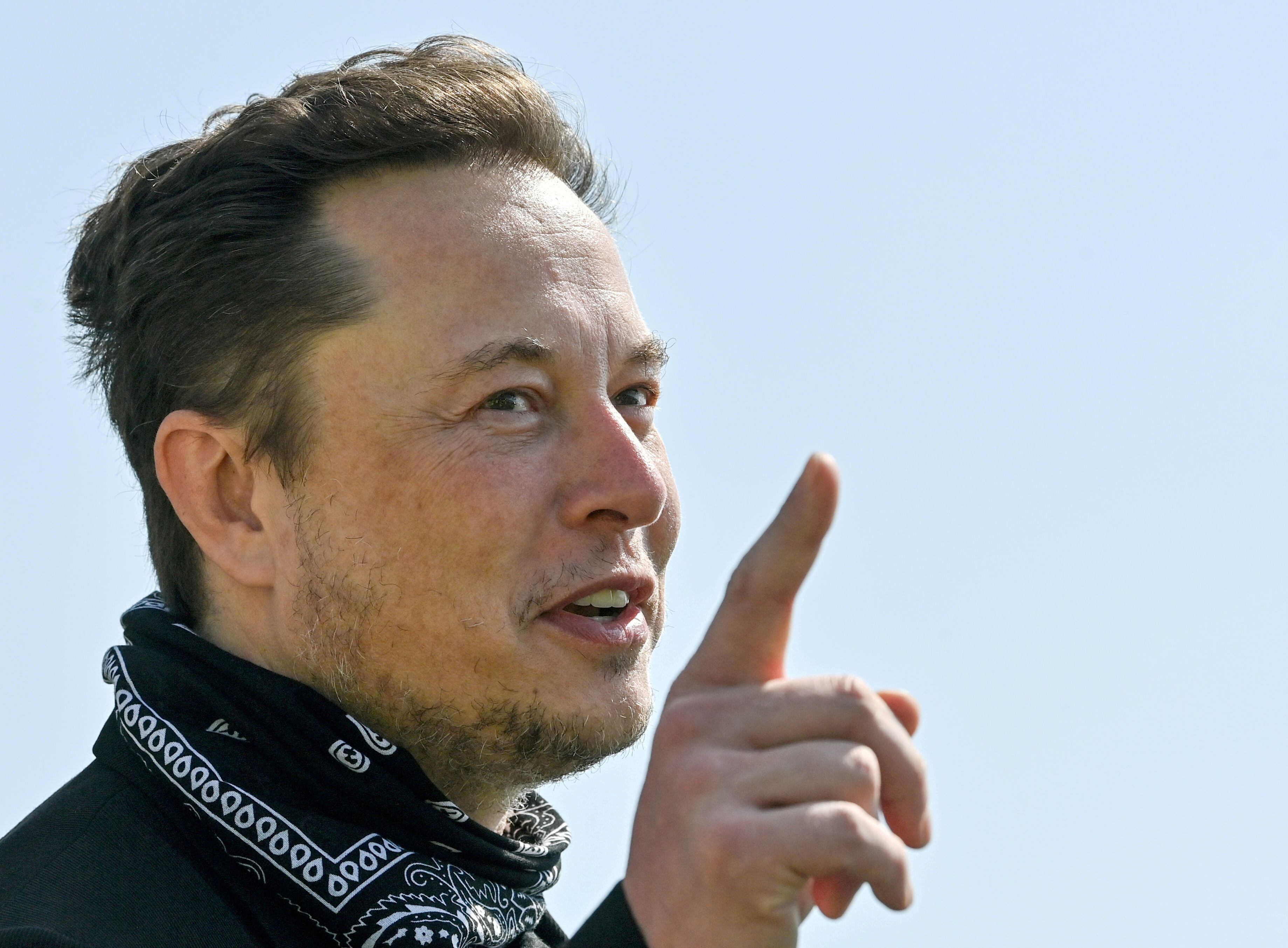 El CEO de Tesla, Elon Musk (Patrick Pleul/Pool via Reuters/File Photo)