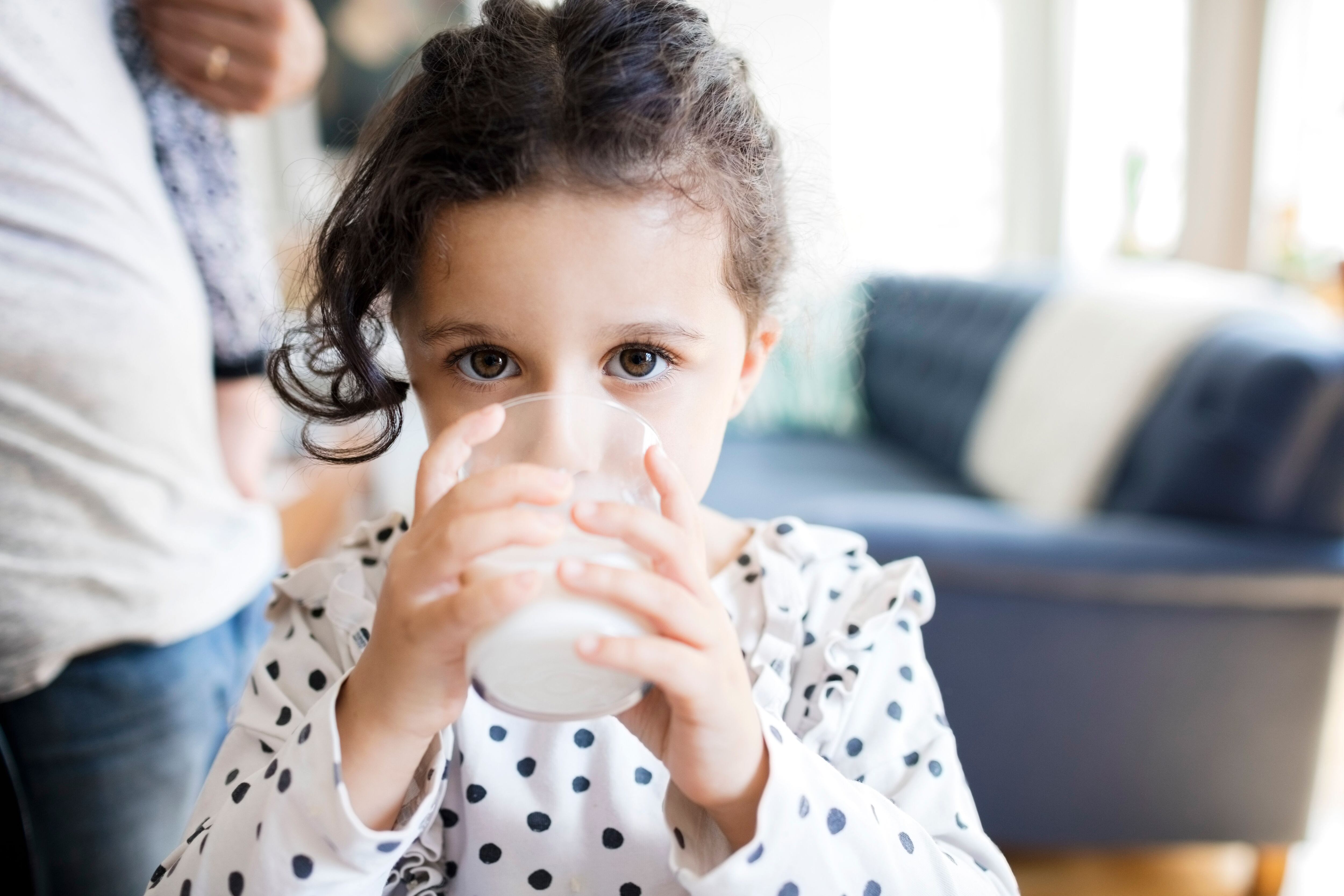 Lactancia, leche, bebé leche, niño leche