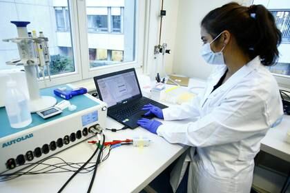 La investigación en laboratorios recorre múltiples caminos y variables -  REUTERS/Arnd Wiegmann