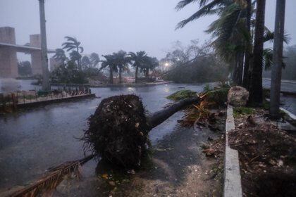 Los vientos de Delta con fuerza de huracán se extienden hasta 30 millas (45 km) desde el centro y los vientos con fuerza de tormenta tropical se extienden hasta 140 millas (220 km). (Foto: AP)
