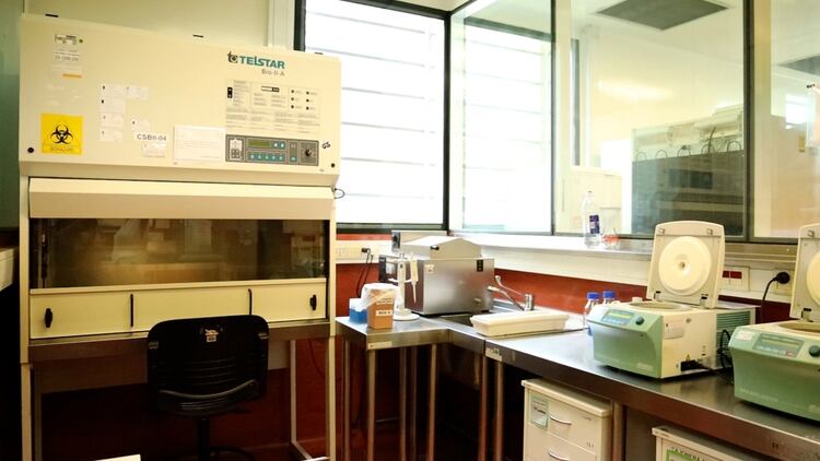 En el Instituto Anlis Malbrán se empezaron a realizar los análisis para detectar coronavirus en el país. Ahora hay más de cien laboratorios en todo el país capacitados para realizar test diagnósticos (Thomas Khazki)
