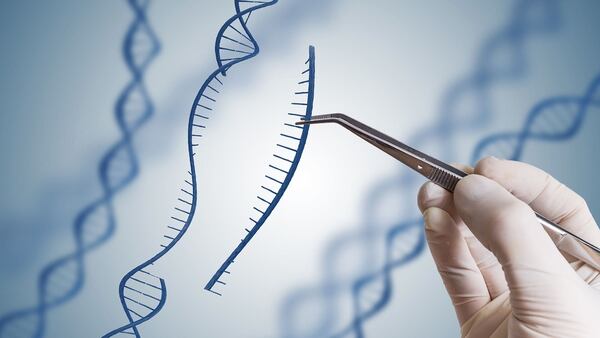 El lápiz genómico permitiría corregir algunas formas de ceguera, sordera y enfermedades de la sangre (Getty Images)