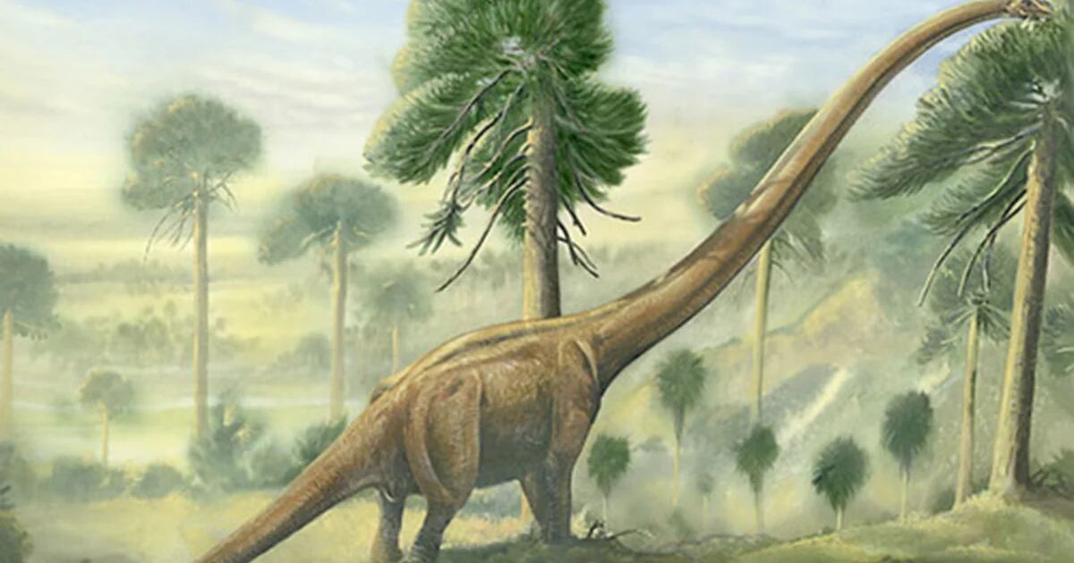 Así es el dinosaurio recién descubierto que se defendía con espinas en el  cuello