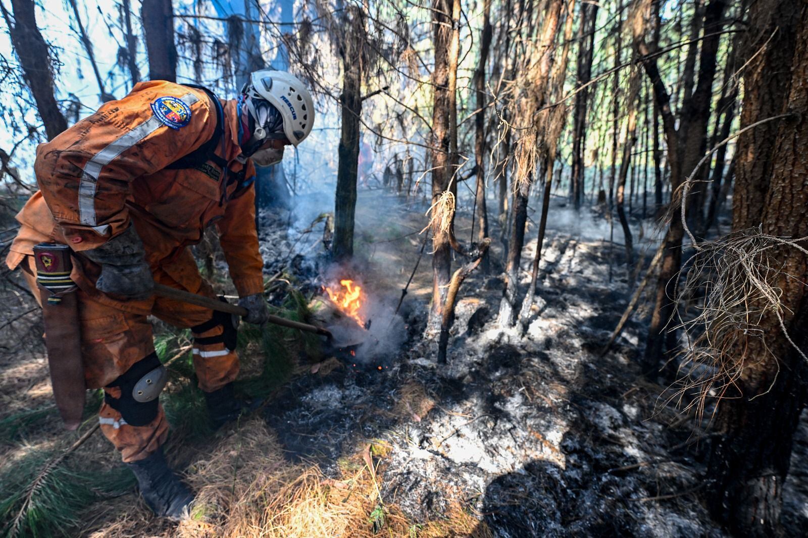 El último reporte de la Ungrd afrimó que todavía hay incendios forestales activos en el territorio nacional - crédito Paula Mariana Gomez Cubides/Defensa Civil Zipaquirá