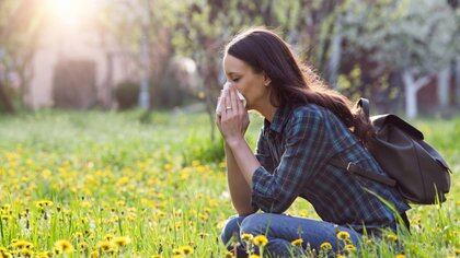 Casi 5 millones de argentinos tienen rinitis alérgica durante la primavera (Shutterstock)