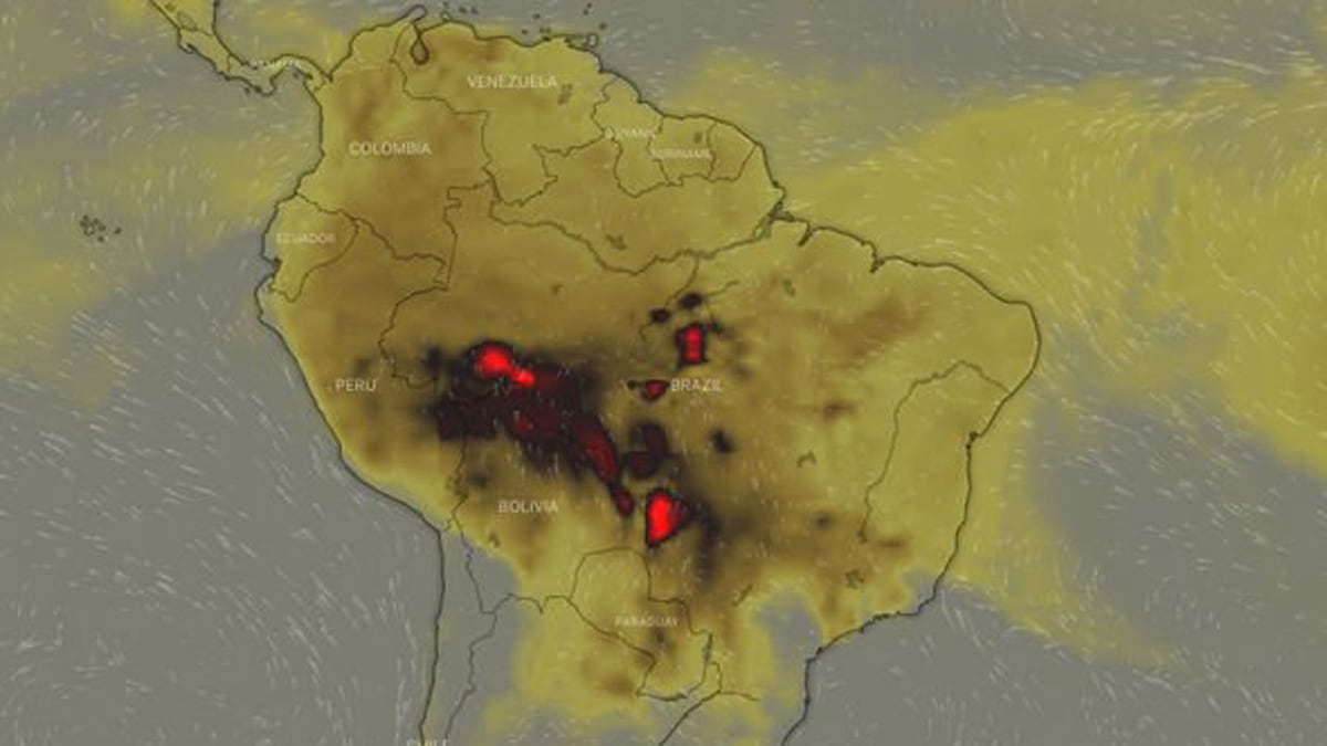 Resultado de imagen para amazonas argentina