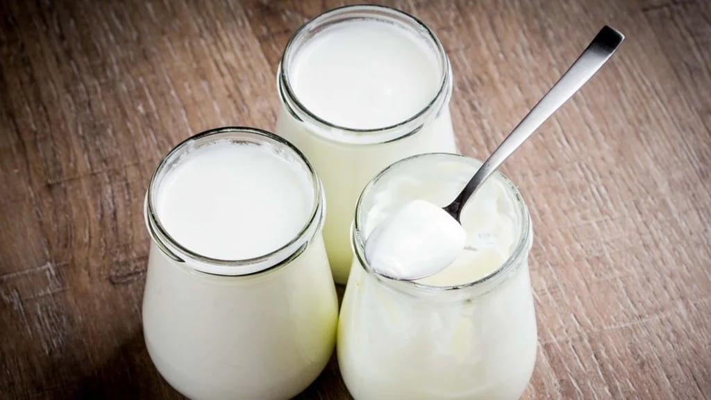 Las proteínas de los lácteos aportan una importante cantidad de aminoácidos