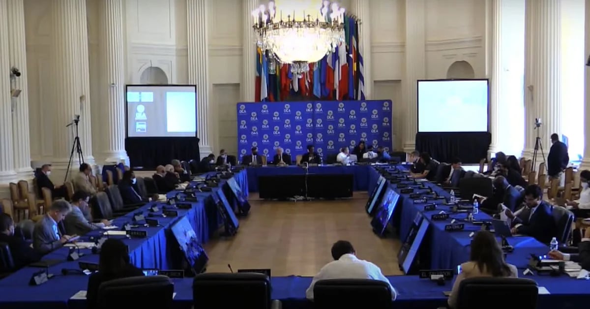 Session at the OAS: Argentina condemned Nicaragua for the persecution of the Church and demanded the freedom of political prisoners