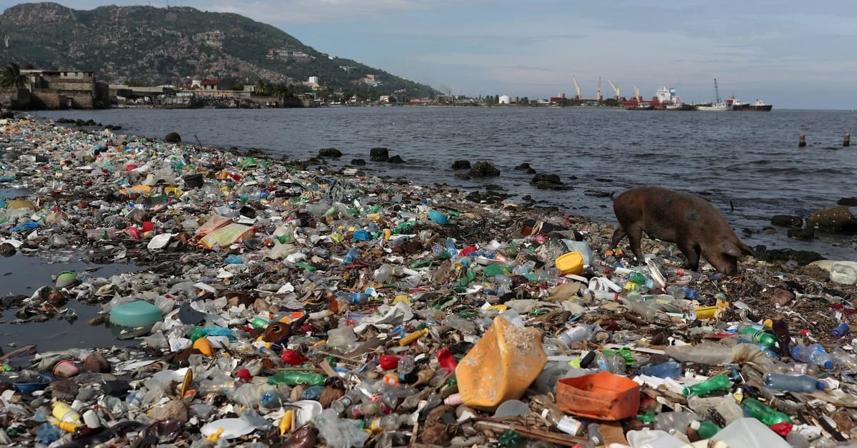 They detected an “unprecedented increase” in the concentration of plastics in the oceans since 2005