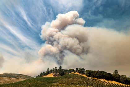 Imágenes de los incendios en el condado de Napa, en California, que afectaron viñedos de alta gama, como los de Moett Hennessey (AP)