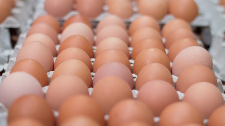 Los huevos pueden contener residuos de antibióticos