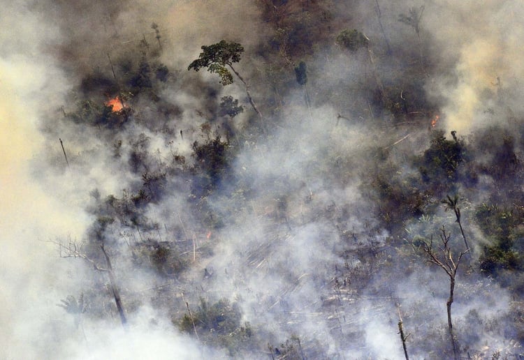 (Photo by Carl DE SOUZA / AFP)