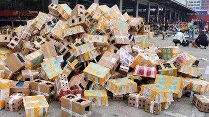 Las cajas con los animales muertos adentro, encontradas por los voluntarios de la ONG Utopia Animal Rescue