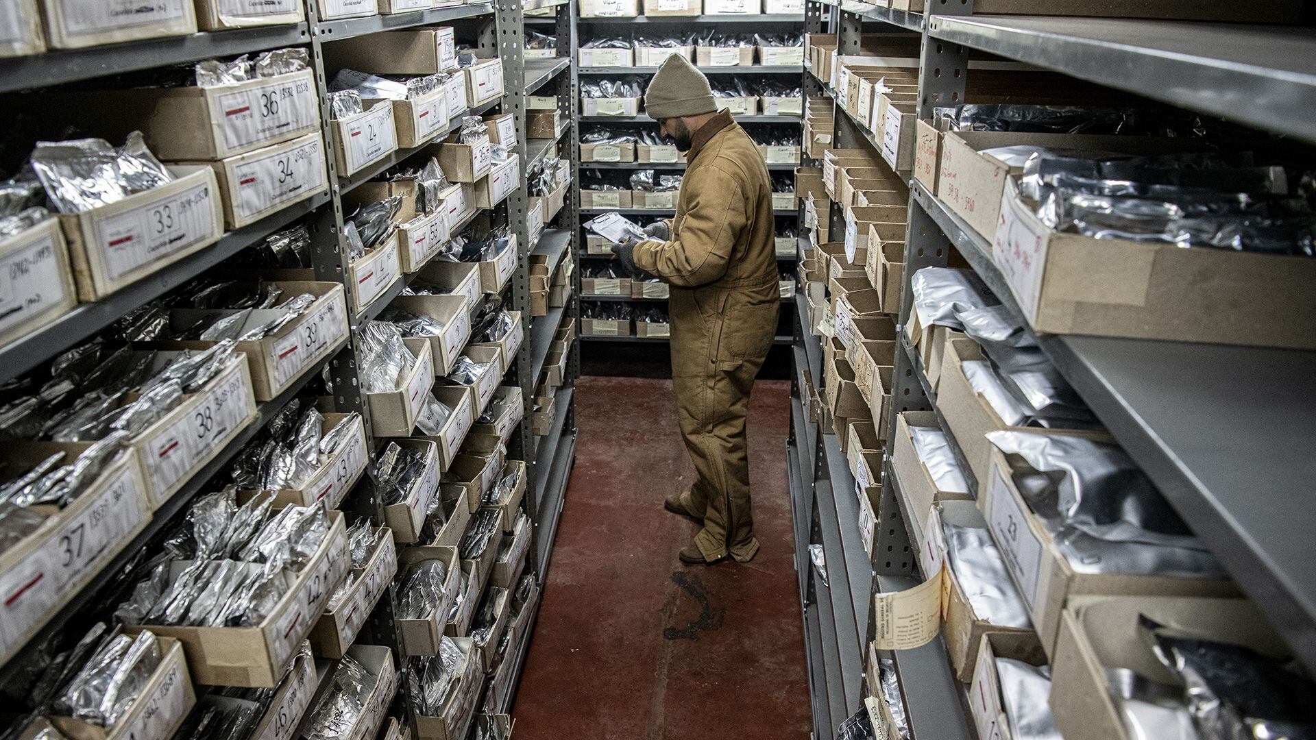 Un científico almacena semillas (Foto de Ezequiel BECERRA / AFP)