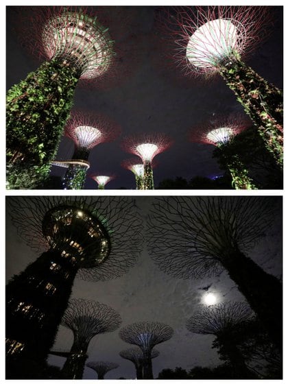 las estructuras artificiales en forma de árbol llamadas Supertrees, antes (arriba) y después de que se apagaran las luces en Gardens By the Bay, en Singapur