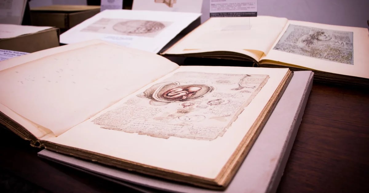 Leonardo da Vinci’s Codex: A Journey Through Hidden Treasure in Buenos Aires