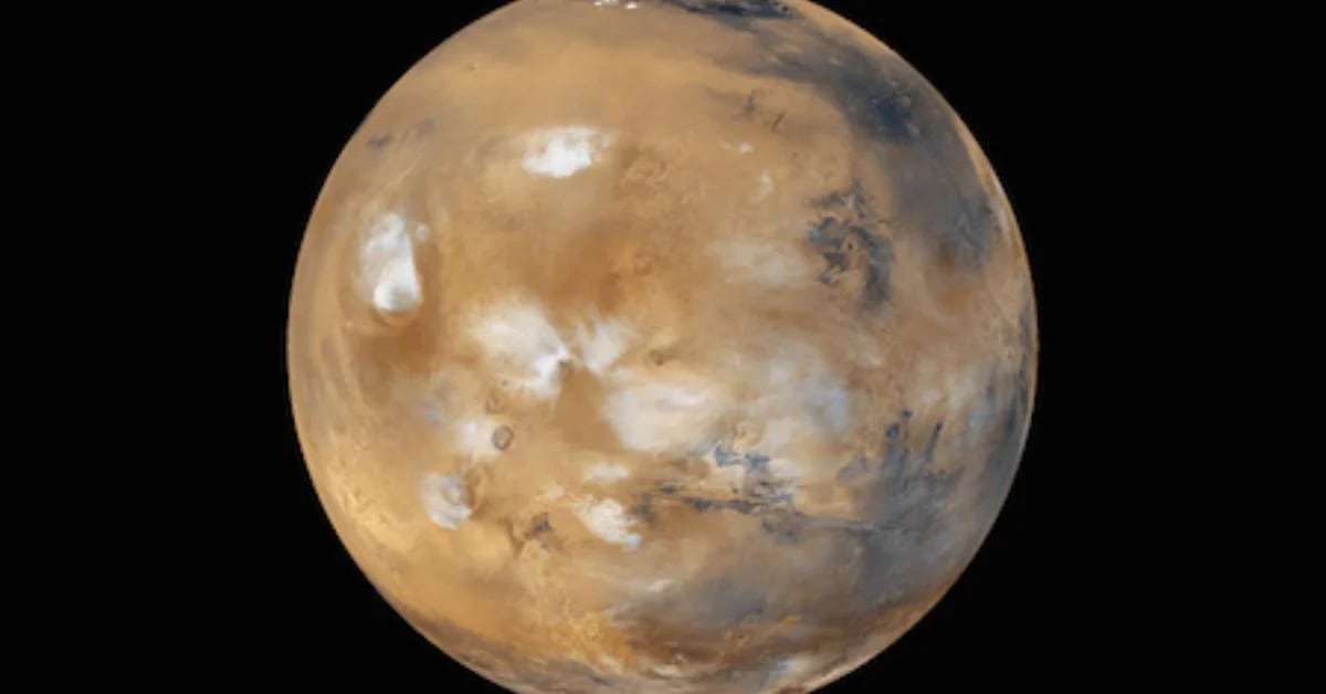 Wo kann man die erste Live-Übertragung vom Mars zur Erde sehen?
