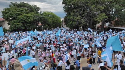 Entre los concurrentes se encontraban familias y militantes celestes con carteles que mostraban la indignación por la inicitiva oficial