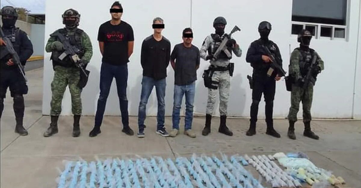 Three fell with over half a million fentanyl pills in Sinaloa