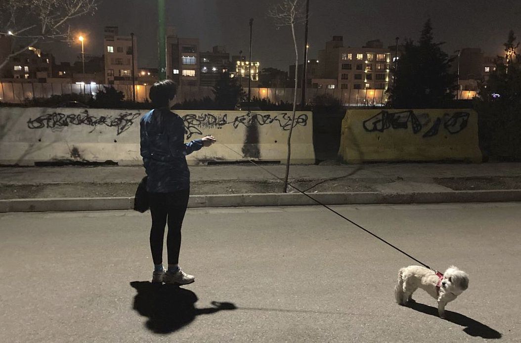 Una mujer uraaní sin el velo obligatorio pasea su perro en un parque donde el grafitti contra el gobierno está tapado con pintura negra (AP Foto/Vahid Salemi)