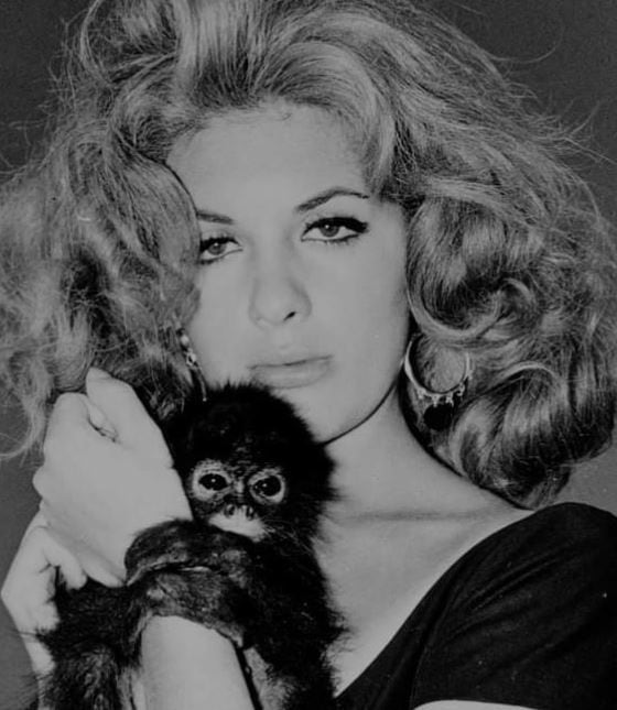 Tere Velázquez: la estrella del cine mexicano que tuvo un trágico final -  Infobae