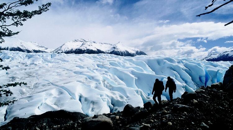 Hay distintas actividades para que el visitante realice durante su aventura (NA)