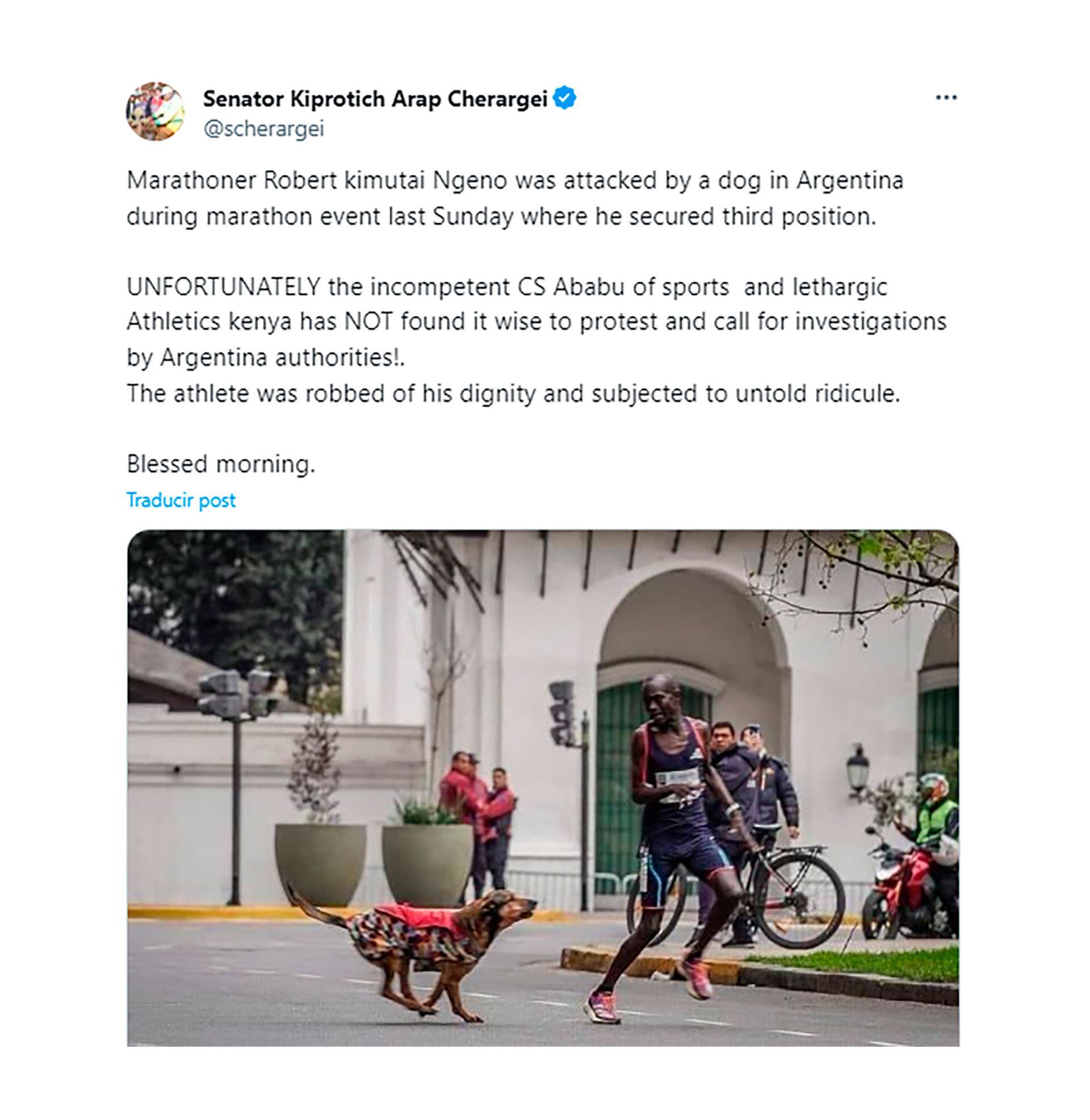 El descargo del senador keniata tras la insólita situación padecida por el atleta Ngeno en la maratón de Buenos Aires, donde fue atacado por un perro en medio de la competencia (Twitter)