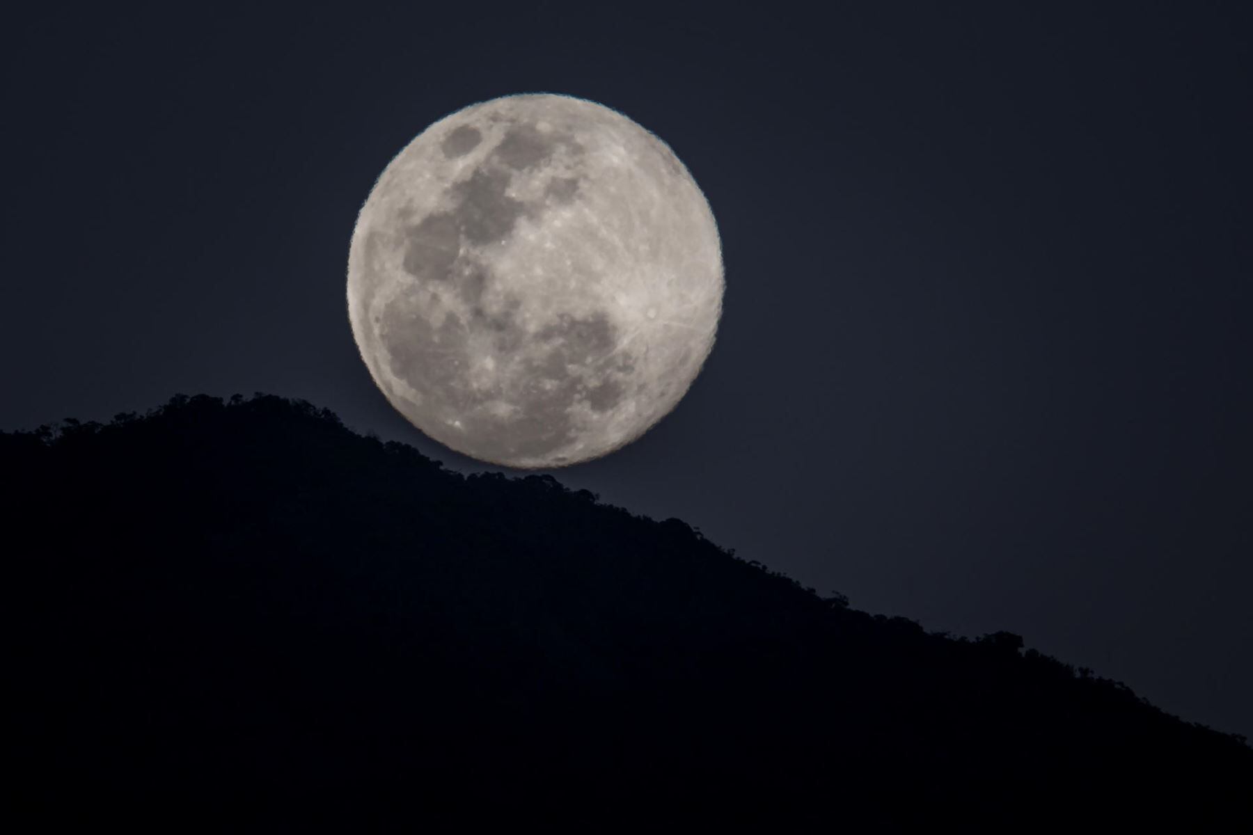 Conoce la razón detrás del evocador nombre de la Luna Llena de Lobo y cómo esta luna guía el ciclo de los fenómenos astronómicos en Perú.Foto: Andina
