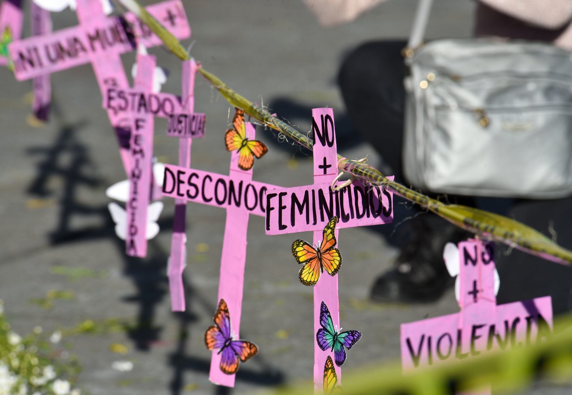 Feminicidios en México