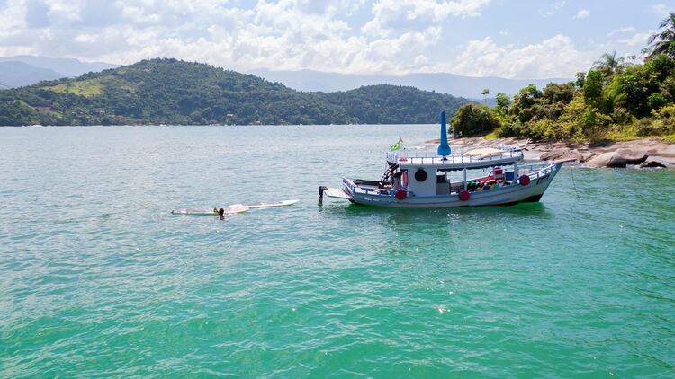 Paraty posee cuatro zonas naturales protegidas de bosque atlántico brasileño considerado como uno de los más ricos en biodiversidad del mundo (Shutterstock)